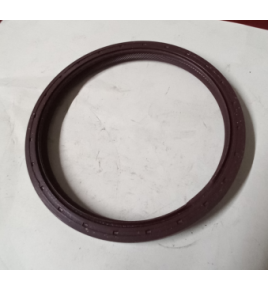 paraolio/anello di tenuta 100x118x10 iveco 98454057