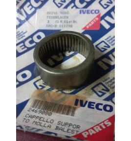 cuscinetto a gabbia rulli ina 3520 cappello supporto molla balestra iveco 2469080