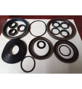 SERIE GUARNIZ. E PARAOLIO CAMBio zf 1250298906 iveco 93162083