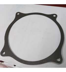 guarnizione collettore aspirazione iveco 1905914