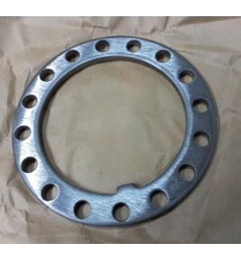 rondella di sicurezza mozzo posteriore iveco 7169349