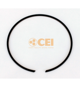 anello elastico per cuscinetto iveco 8120282 5000802461