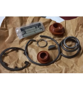 kit pompa servosterzo iveco 8124666