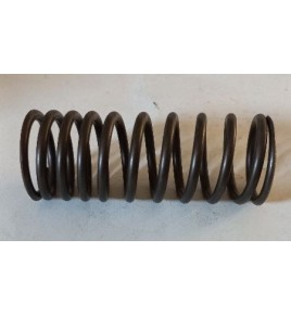 molla valvola punteria motore iveco 4624538