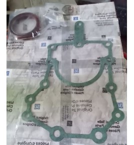 serie guarnizione cambio zf 1290298917 iveco 93161261