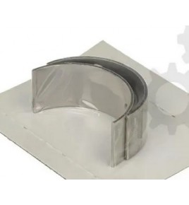 kit cuscinetti di biella dm alloggiamento 76,72 sp 2,1 L 34,8 iveco 1905864