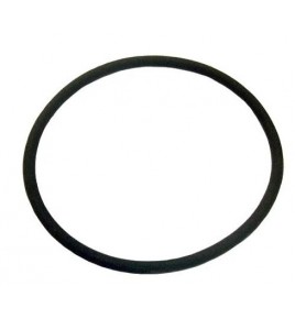 anello/o ring alloggio rallentatore scania 322119