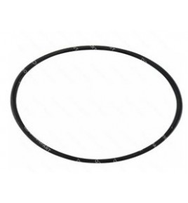 anello/o ring 71 x 12,60 pompa acqua iveco 17285281
