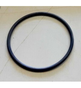 anello/o ring supporto scambiatore di calore iveco 14459481 17283981