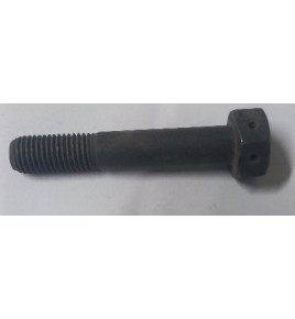 vite testa esagonale forata per cordina di sigillo aimm r10 10x1,5x55
