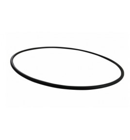 o ring/anello tenuta pompa acqua 370/380/420/440 iveco 98461200