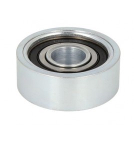 galoppino guidacinghia cinghia poly-v 8x22x60 iveco 98429701 500344132 500028919